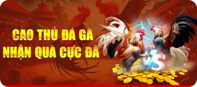 cao thủ đá gà